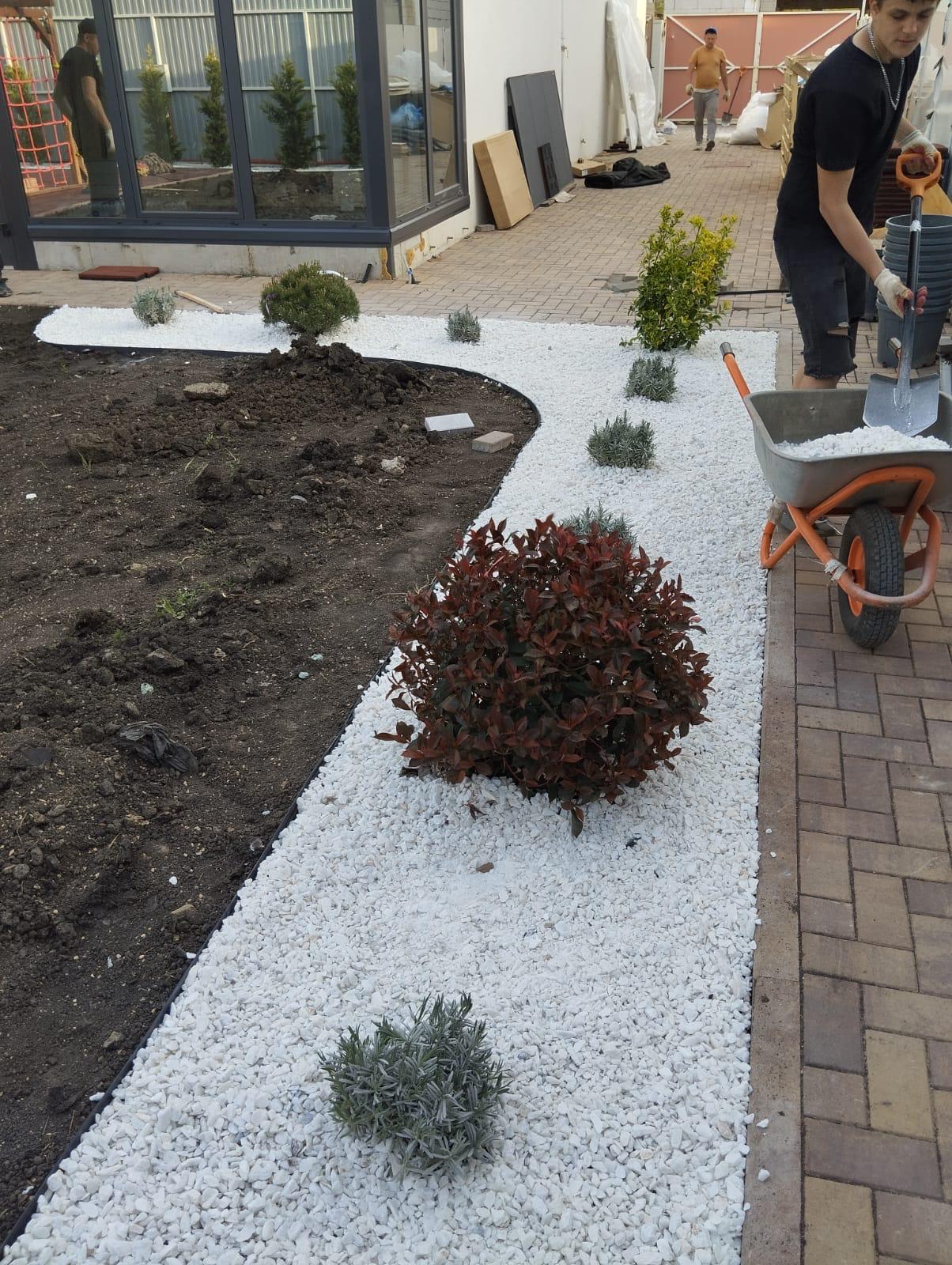 Озеленение участка с белой отсыпкой и кустарниками