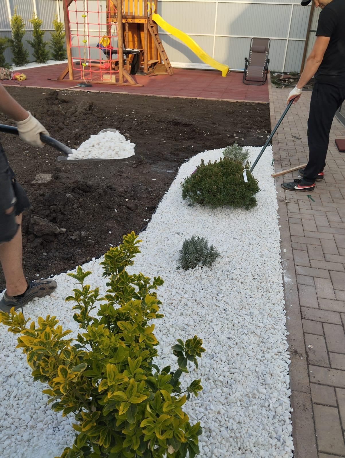 Оформление участка белой отсыпкой и посадками